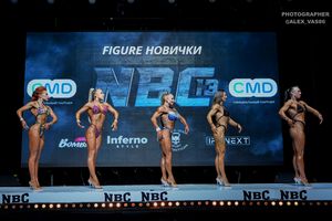 FIGURE НОВИЧКИ